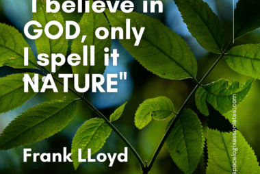 Frank lloyd wright quote